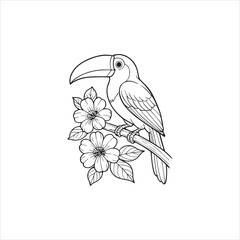 Fototapeta premium Black and white line drawing of a toucan