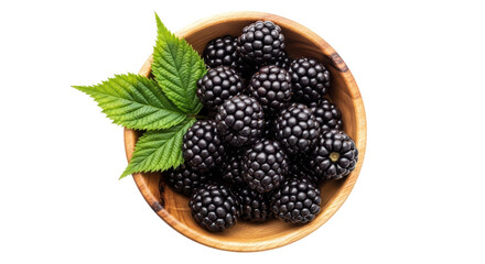 Isolated Fresh Blackberries in Bowl © Johanna