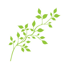 Obraz premium Brunch with leaves plant flat illustration | Premium Vector