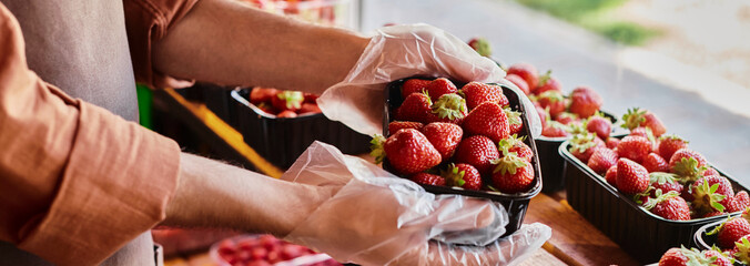 Offering fresh organic strawberries at a farmers market grocery store