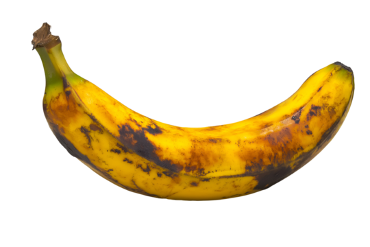 a vibrant yellow banana with a brown stem tip isolated on a white background