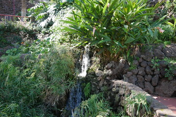 Taoro Park in Puerto de La Cruz auf Teneriffa