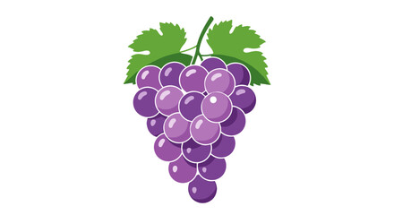 Illustration of a bunch of purple grapes with green leaves on top against a white background flat design on transparent background