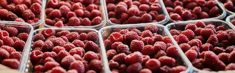 Fresh organic raspberries showcased in a vibrant grocery store market setting