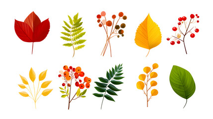 Obraz premium Colorful collection of autumn leaves, berries, and seasonal plants on white background. Perfect for fall designs, nature art, and seasonal stock images.