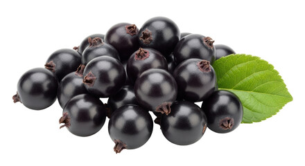 Isolated Pile of Fresh Black Currants