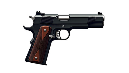 Colt government m1911