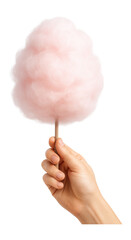 Hand holding fluffy pink cotton candy on a stick.