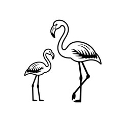 Fototapeta premium Two Black and White Flamingo Illustrations: Adult and Chick, Side Profile