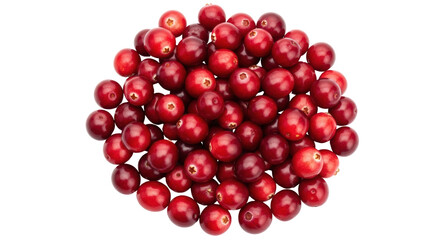 Isolated Pile of Fresh Cranberries