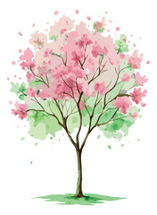 Watercolor Cherry Blossom Tree Spring Floral Art Vector Illustration.