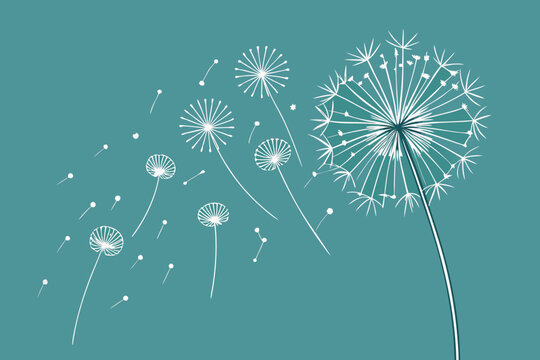 Elegant dandelion artwork featuring delicate white floral elements blowing in the gentle breeze on a teal background