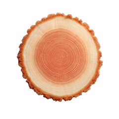 A tree trunk cross-section showcasing natural wood grain patterns with a rich, warm color. Perfect for designs related to nature, sustainability, and woodworking.
