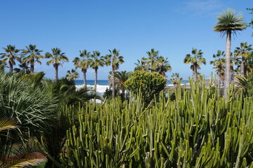Strandpark Playa Jardín in Puerto de La Cruz am Strand mit Wellen auf Teneriffa