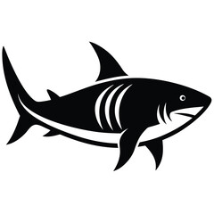 tiger shark vector fish 