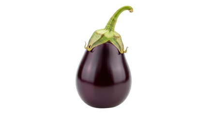 Isolated Single Eggplant
