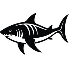tiger shark vector fish 