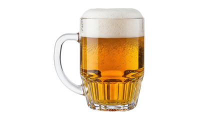Isolated Beer Mug with Foam