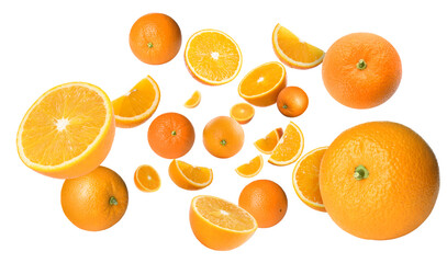 Fresh juicy oranges swirling in air against white background. Citrus fruit