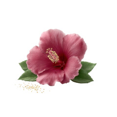 Vibrant pink hibiscus flower with green leaves, isolated on a white background. Perfect for nature-themed designs, botanical illustrations, and floral arrangements.