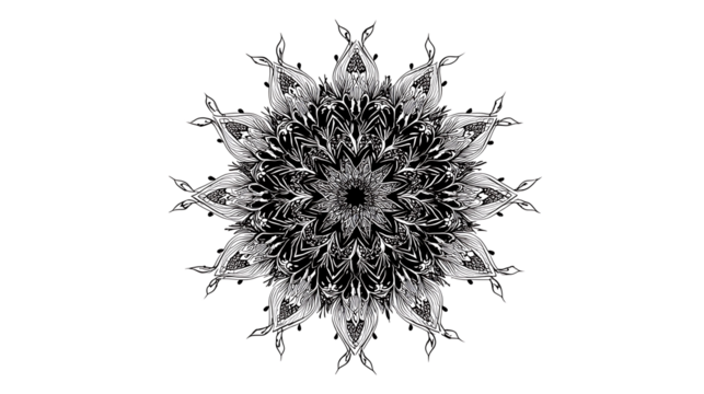 Intricate decorative mandala with fine lines, isolated on a white background