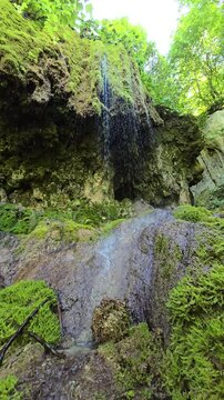 Rain like water droplets falling from moss ridden travertine rocks at Sipote Waterfall (Cascadele de travertin) on a sunny summer day. Trascau Mountains, Alba, Romania