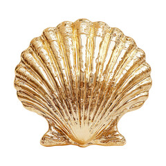 Reflective metallic gold seashell with intricate surface details on transparent background