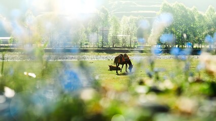 Life Journey Through Window - Traveler by River Embracing Nature's Beauty and Adventure in Peaceful Landscape