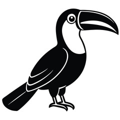 toucan vector