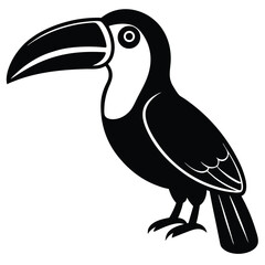 Obraz premium toucan vector