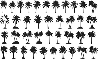 Set of Black Silhouette Palm Trees, Tropical Beach, Summer Vibes, Island, Nature, Exotic Plant, Palm Leaves, Landscape, Sun, Shadow, Tropical Forest, Outdoor Scenery,