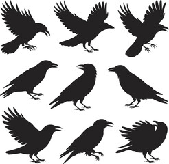 Crow bird silhouette vector, flying raven design, spooky blackbird graphic, Halloween animal icon, wildlife illustration for print and decor