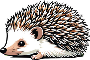 Adorable Cartoon Hedgehog Illustration:  Cute, Whimsical, Childlike Style, White Background.
