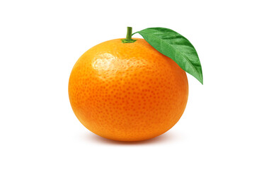 みかんのイラスト リアル ミカン