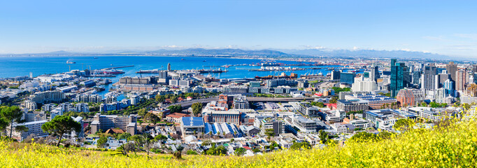 Panorama: Aerial view of V&A Waterfront and Cape Town City with sea of yellow flowers, South Africa
