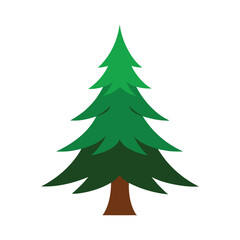 christmas tree vector illustration, pine tree