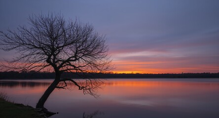 Silhouette of a Tree at Sunset, Reflecting on the Calm Water of a Lake, Serene Scene