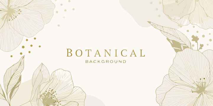 Elegant Botanical Background with Floral Outlines and Neutral Color Palette