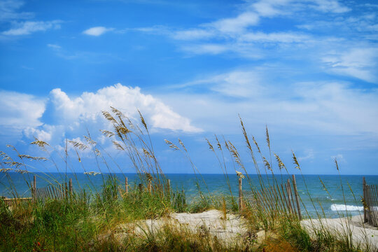 Beach sand dunes and sky in summer - Topsail Island NC OBX