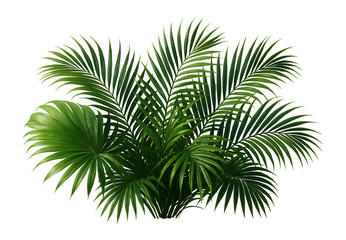 Fototapeta premium 3D-rendered palm leaves foliage.