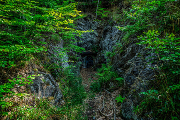 Fototapete bei efototapeten.de bestellen   