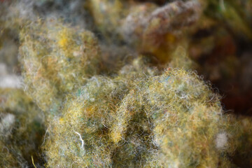 Collection of Carded Fleece Ready for Processing