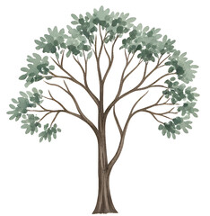 Watercolor Painting of a Lush green tree Illustration isolated on transparent background 