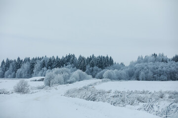 Winter snowy frosty landscape. The forest is covered with snow. Frost and fog in the park.