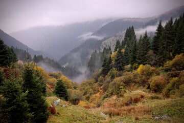 Paesaggio alpino autunnale
