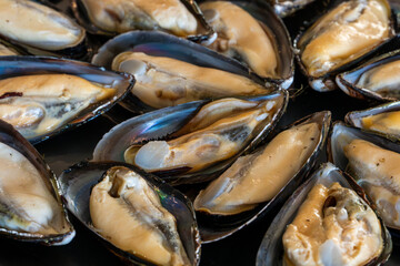 Close-up of fresh mussels in open shells, showcasing their soft texture and natural details. The seafood is arranged tightly together, highlighting the appetizing and raw presentation of shellfish.