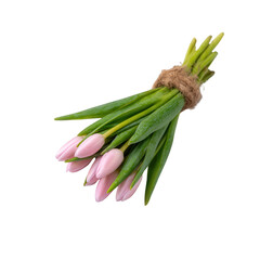 A beautiful bouquet of fresh pink tulips tied with twine, showcasing vibrant green stems. Perfect for spring decorations and celebrations.