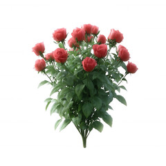 A beautiful bouquet of red roses with lush green foliage, perfect for celebrations or special occasions, displayed against a white isolate background.