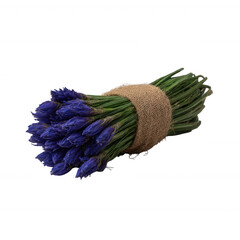 A beautiful bunch of blue flowers tied with natural burlap, showcasing vibrant hues against a clean background, ideal for floral arrangements or nature-themed designs.
