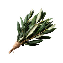 A beautiful bundle of green leaves, showcasing various shades and textures, tied with natural twine, perfect for decorative or culinary use.